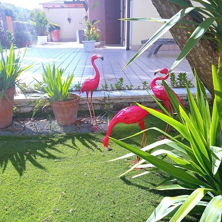 Casa Giardino Appartement San Benedetto del Tronto Buitenkant foto