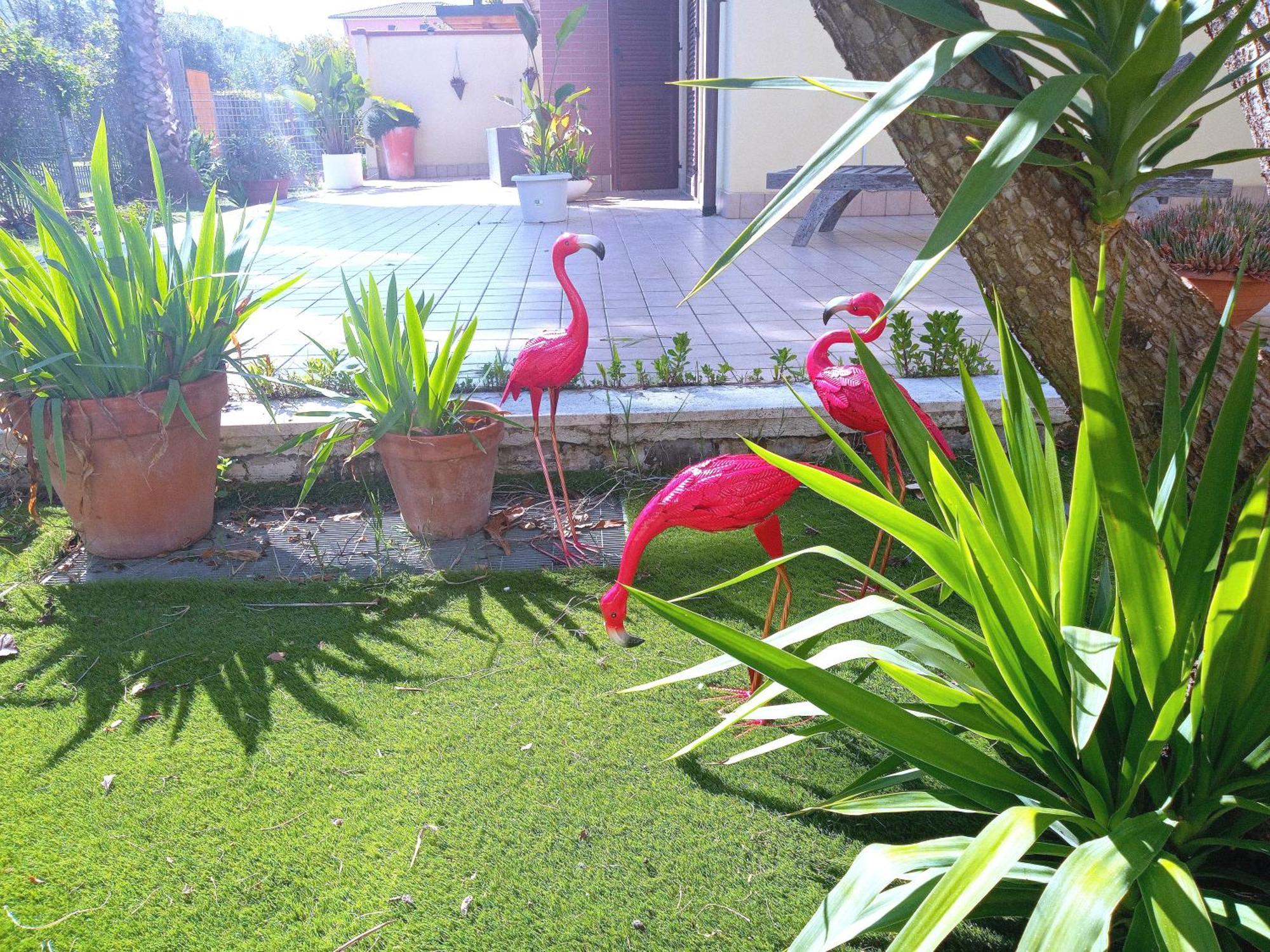 Casa Giardino Appartement San Benedetto del Tronto Buitenkant foto